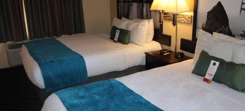 Super 8 by Wyndham Berkeley图片