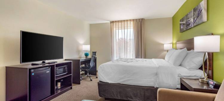 加拉廷 - 纳许维尔地铁舒眠套房酒店(Sleep Inn & Suites Gallatin - Nashville Metro)图片