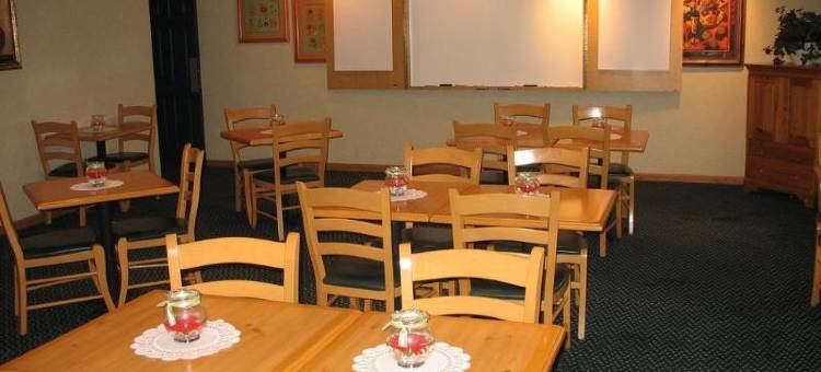 霍兰丽怡酒店(Country Inn & Suites by Radisson, Holland, MI)图片