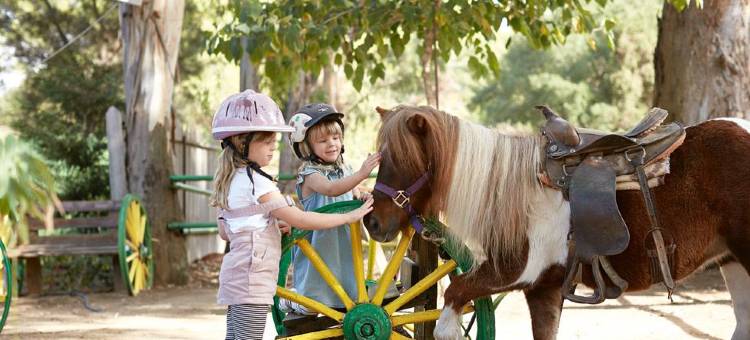 格雷科泰尔酒店-奥林匹亚绿洲(Grecotel LUXME Oasis at Riviera Olympia & Aqua Park)图片