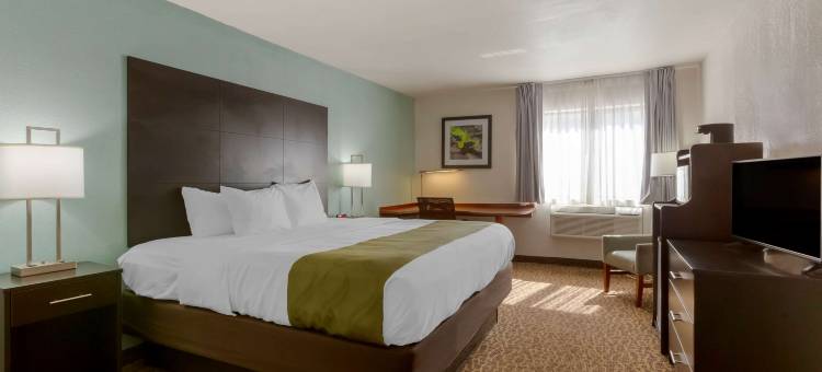 艾力西斯路凯艺酒店(Quality Inn Alexis Rd)图片