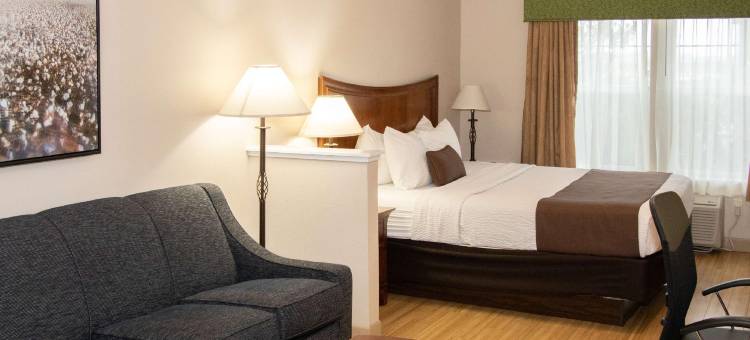 I-5贝斯特韦斯特优质酒店(Best Western I-5 Inn  Suites)图片