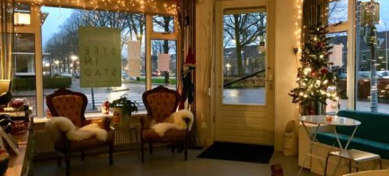 思迪因斯塔德酒店(Stee in Stad)图片