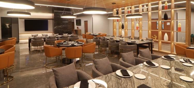 Holiday Inn and Suites Mexico Felipe Angeles Airport图片