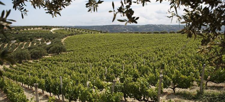 斯卡莱亚房地产住宅(Scalarea Estate Residences)图片