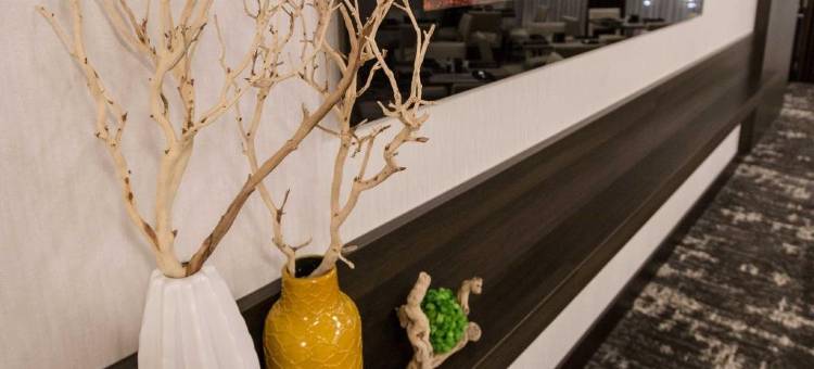 芝加哥奥黑尔温德姆酒店(Wyndham Chicago O'Hare)图片