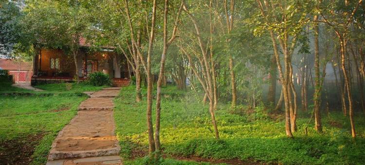 班迪铺银莲花丛林水疗度假村(The Windflower Jungle Resorts & Spa Bandipur)图片