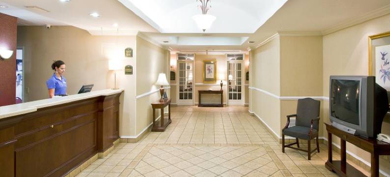 利夫奥克智选假日酒店&套房(Holiday Inn Express & Suites LIVE OAK by IHG)图片