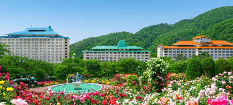 花卷酒店(Hotel Hanamaki)图片