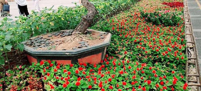 七月公寓酒店(西安钟鼓楼回民街地铁站店)图片