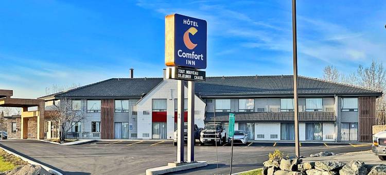 舒适酒店(Comfort Inn)图片