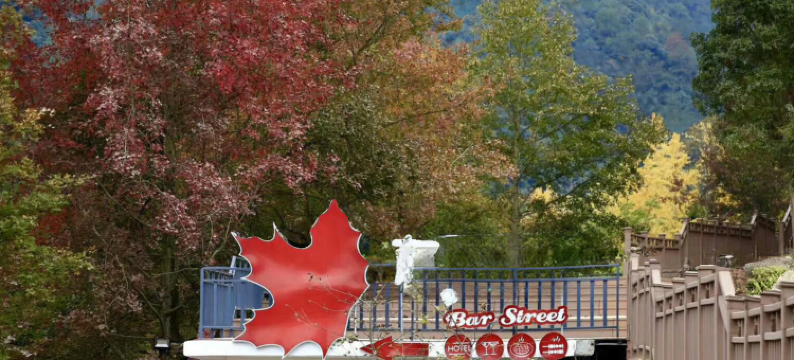 丫山旅游度假区·石见客栈图片