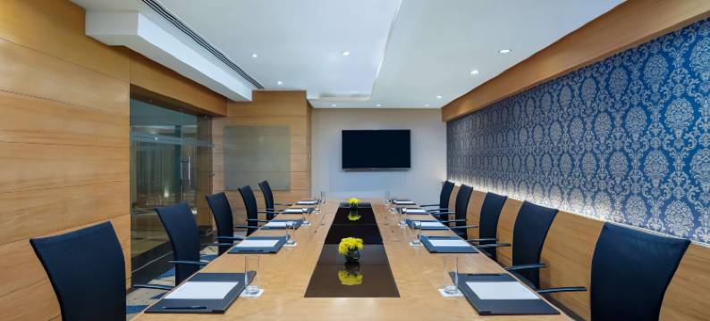 康诺特广场丽笙酒店(Radisson Blu Marina Hotel Connaught Place)图片