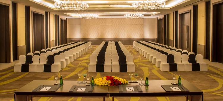 古瓦哈蒂丽笙酒店(Radisson Blu Hotel Guwahati)图片