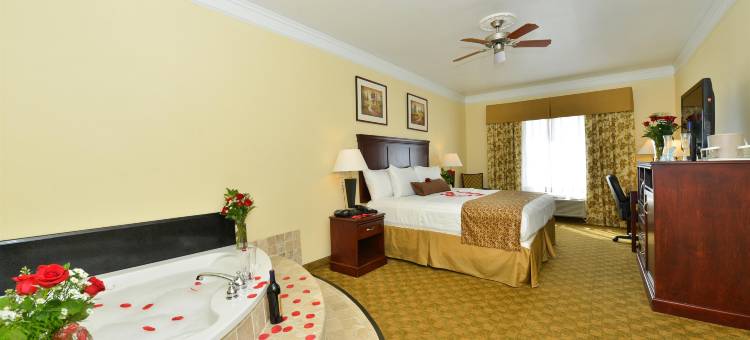 孤星贝斯特韦斯特酒店(Best Western Lone Star Inn)图片