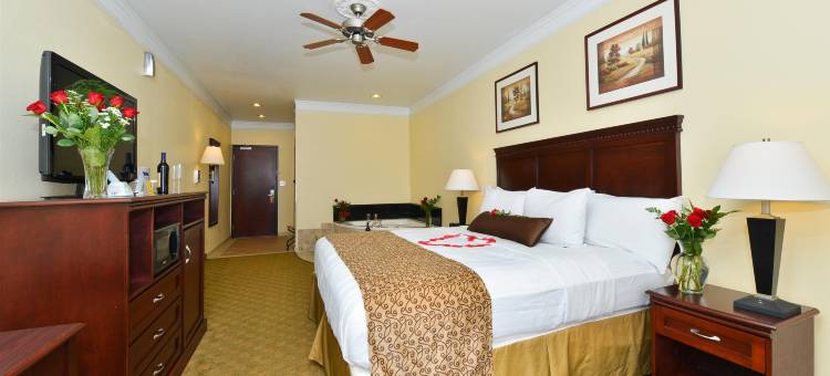 孤星贝斯特韦斯特酒店(Best Western Lone Star Inn)图片