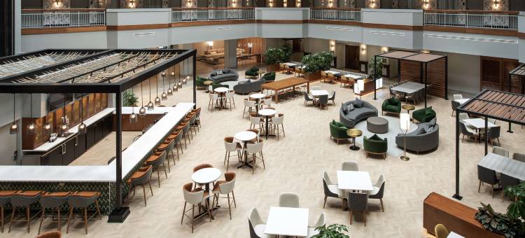杜勒斯北劳登希尔顿安泊酒店(Embassy Suites by Hilton Dulles North Loudoun)图片