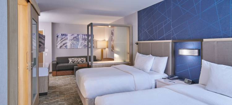 底特律迪尔伯恩SpringHill Suites酒店(SpringHill Suites Detroit Dearborn)图片