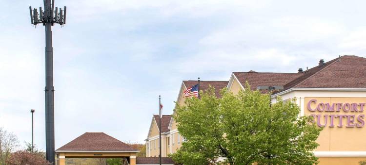 舒适套房酒店-近斯克兰顿蒙太奇山(Comfort Suites Scranton Near Montage Mountain)图片