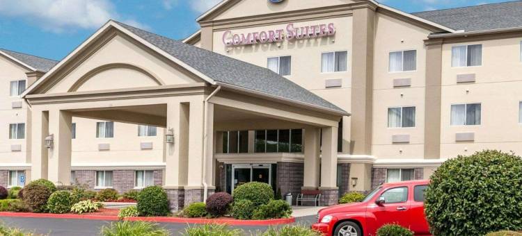 北部舒适套房酒店(Comfort Suites North)图片