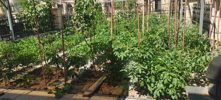 别墅小院轻奢民宿(兴业路分店)图片