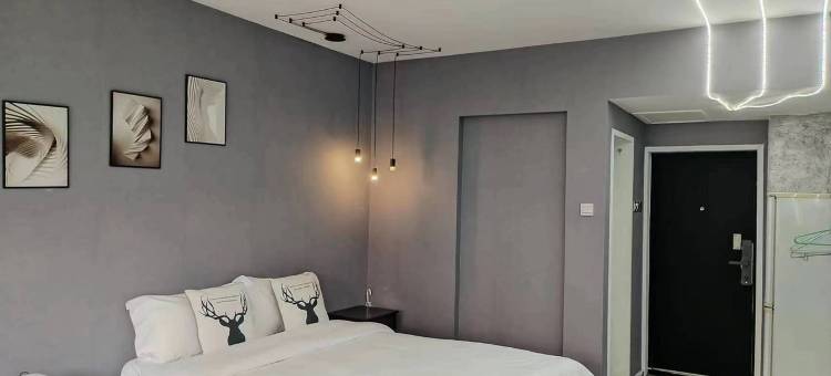 流星花园公寓民宿(天仙桥北路1号分店)图片