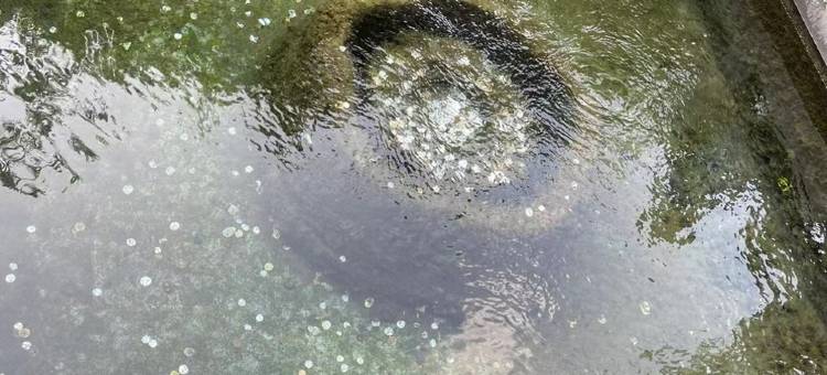 东东小城公寓(济齐路分店)图片