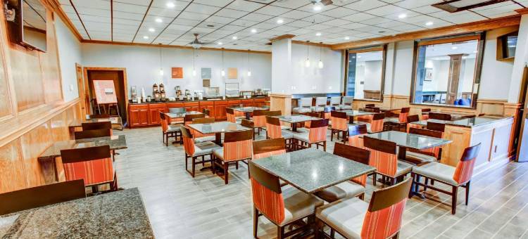 舒适套房酒店(Comfort Inn & Suites)图片
