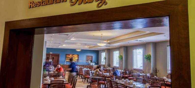 埃罗普托洛斯卡波斯酒店(Hotel Aeropuerto Los Cabos)图片