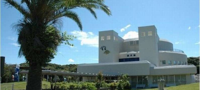 足摺国际酒店(Ashizuri Kokusai Hotel)图片