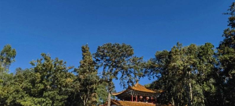 归燕公寓(西苑浦路分店)图片