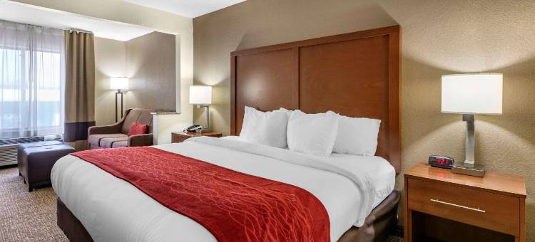 锡达拉皮兹北科林斯路舒适套房酒店(Comfort Inn & Suites Cedar Rapids North - Collins Road)图片