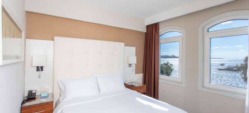 伊斯坦布尔苏丹阿合麦特丽笙酒店(Radisson Hotel Istanbul Sultanahmet)图片