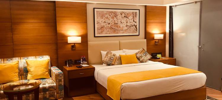 齐普尔金色郁金香酒店(Golden Tulip Jaipur)图片