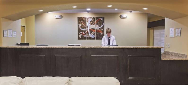 瑟西拉昆塔温德姆套房酒店(La Quinta Inn & Suites by Wyndham Searcy)图片