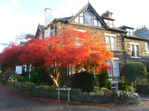 柯克伍德招待所