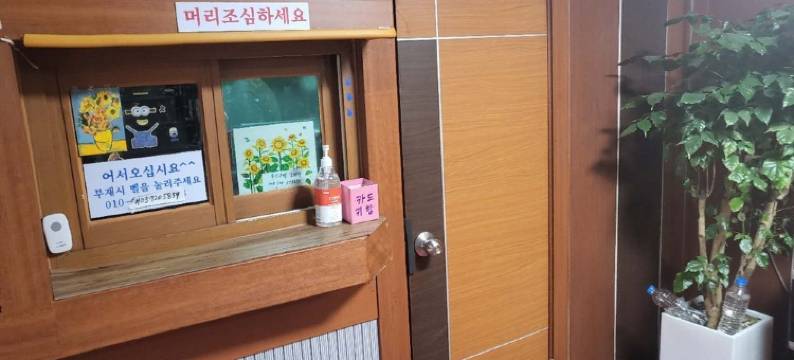 新林花卉(Sillim Flower)图片