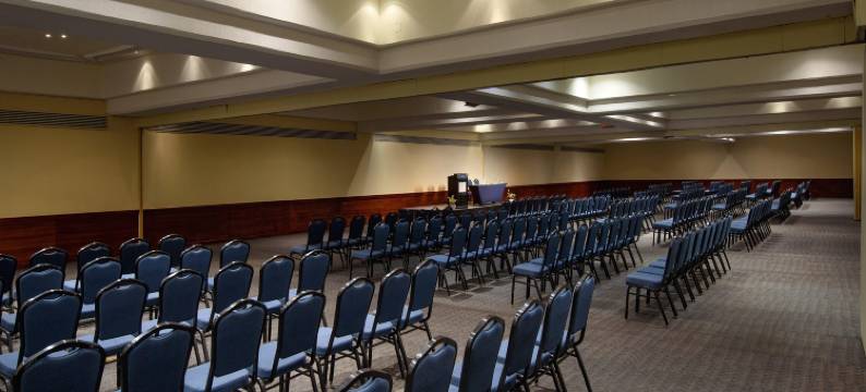 巴亚以塔港美利亚全包酒店(Melia Puerto Vallarta - All Inclusive)图片