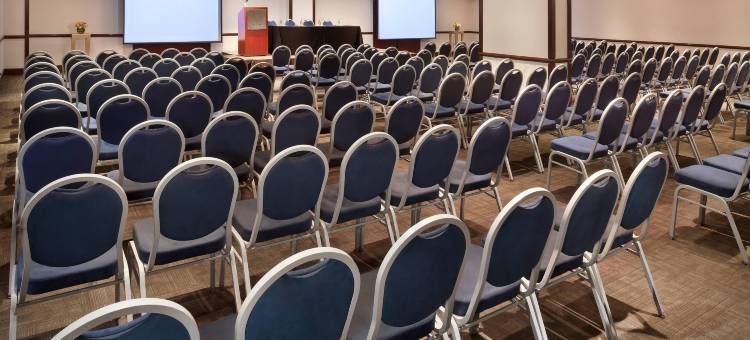 利马美利亚酒店(Melia Lima)图片