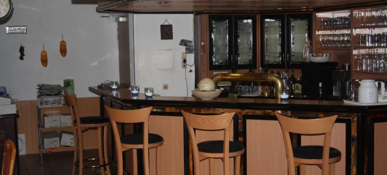 Hotel Gambrinus图片