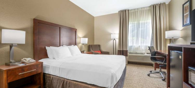 舒适酒店弗里蒙特(Comfort Inn Fremont)图片