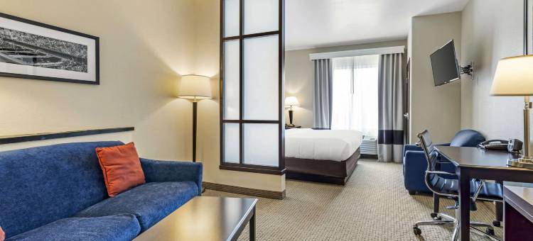 舒适全套房酒店(Comfort Suites)图片