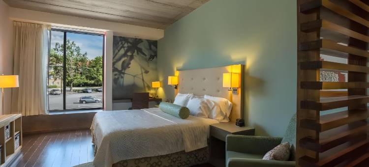 Hotel Indigo 雅典 - 大学区(Hotel Indigo Athens Downtown - Univ Area)图片