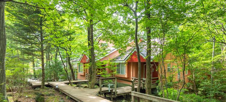 那须温泉 那须森林山酒店 (旧丽贾纳那须)(Hotel Forest-Hills Nasu)图片