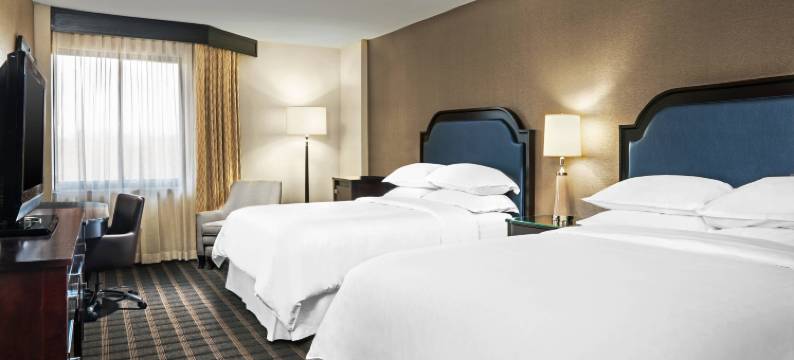 夏洛特机场喜来登酒店(Sheraton Charlotte Airport Hotel)图片