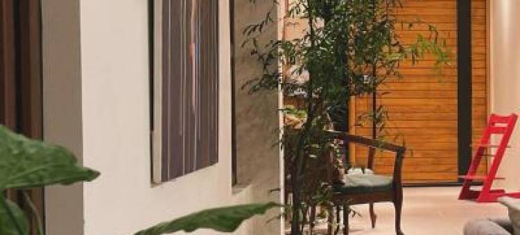 Elyu Guesthouse图片
