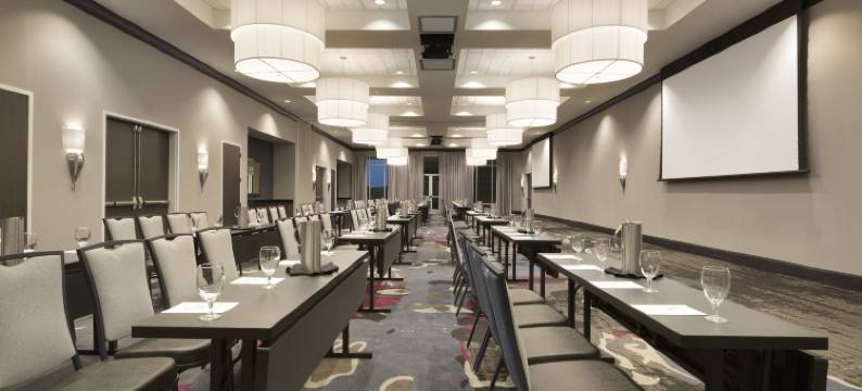 格林维尔市中心瑞尔普雷斯希尔顿希尔顿安泊酒店(Embassy Suites by Hilton Greenville Downtown Riverplace)图片