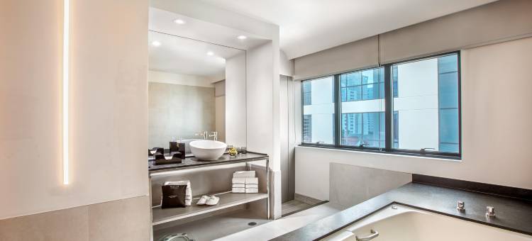 美利亚酒店-伊比拉普埃拉(Meliá Ibirapuera)图片