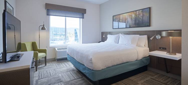 科宁市中心希尔顿花园酒店(Hilton Garden Inn Corning Downtown)图片