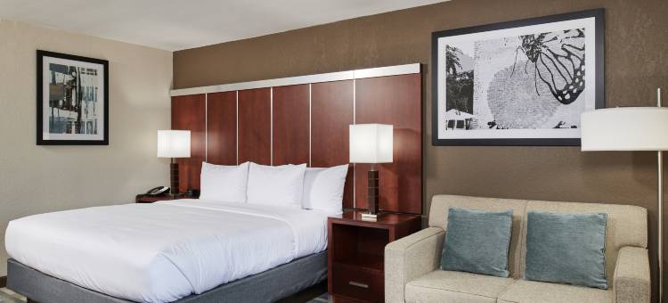 罗利克拉布特里谷希尔顿逸林酒店(DoubleTree by Hilton Raleigh Crabtree Valley)图片